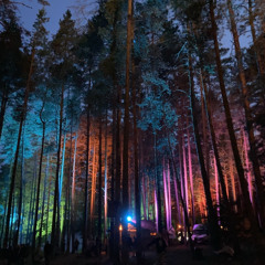 Vytautas Taparauskas