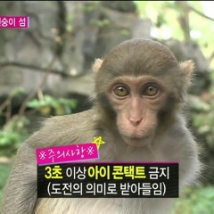 유다희