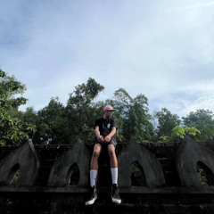 Zyn_Run