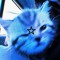 𝐒𝐭✰𝐫𝐠𝐢𝐫𝐥