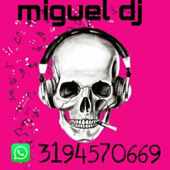 miguel dj