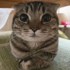 ^^^