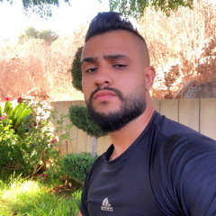 Aly Awada