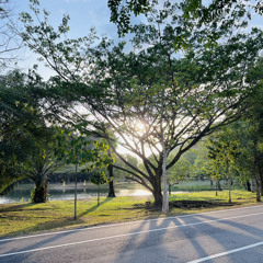 Sheikh Muhammad Hady Toure Surah MARYAM