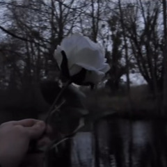 Untitled.apk