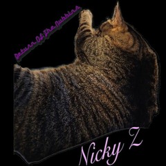 Nicky Z