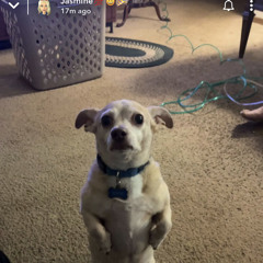 Scot Jeffery Caudell