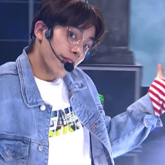 Shadowliketae