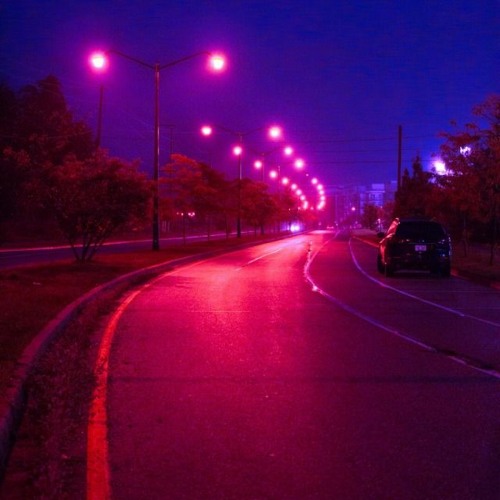 lostmyvibe — portrait