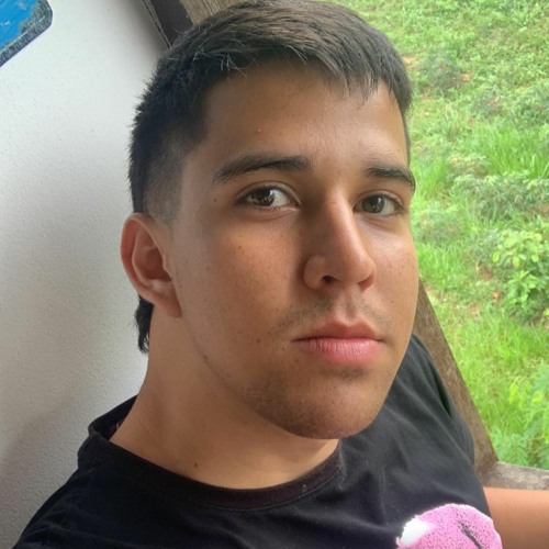 FelipeAcevedo’s avatar