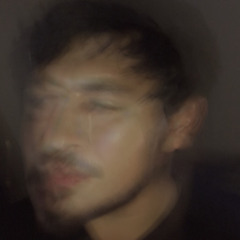 NINpig