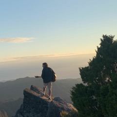 Tim Ellis (original account)