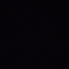 L4L MVNNY