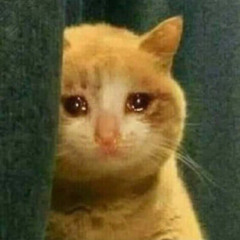 예규