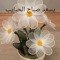Faten Kamel