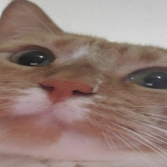 Cr0sby