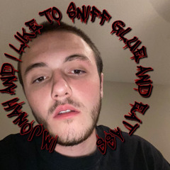slvmplrd