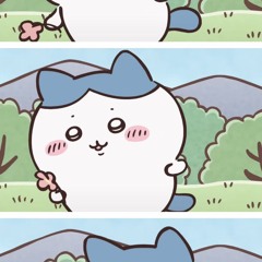 나는 싸파만 보는 거 알지?