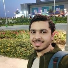 Mahmoud S. Ahmed