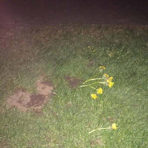 lucifer appeared in my dream and tried to impress me with magic tricks