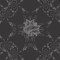 prolythic
