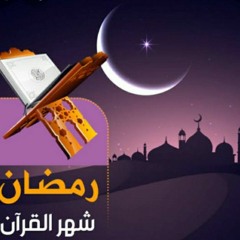 Hafsa Tarek