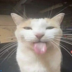 jamal