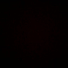 David Nedjmo Marx Silva