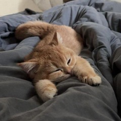 Sa Majesté Asthériös