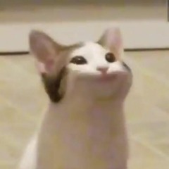 oknotok