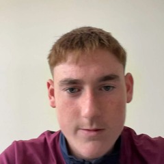 owen flanagan