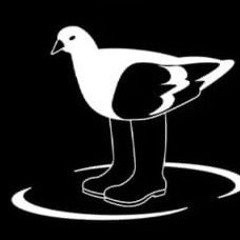 duck lol