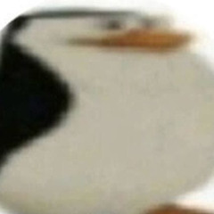 p4ncetta