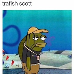 Trafish Scott