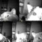 Desty P. Triana