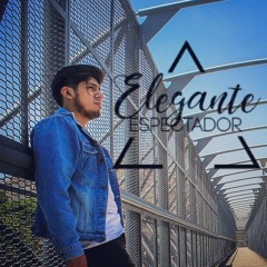 Elegante Espectador