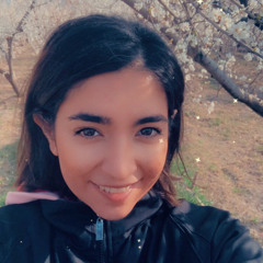 dorsa banaei