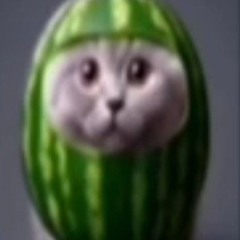 n0s4uha