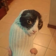 научите какать