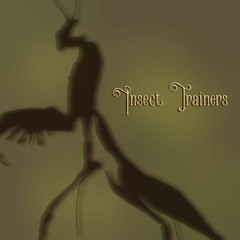 Insect Trainers