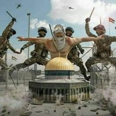 رجب محمد