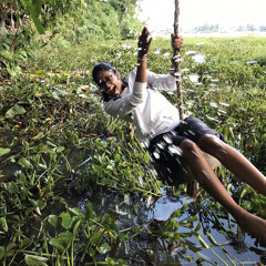 Aarati Rao