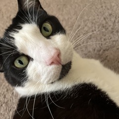 LOKI.777