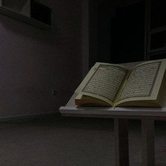 يُـمـنَـىٰ(أُمُّ حُـذَيْـفَـة)
