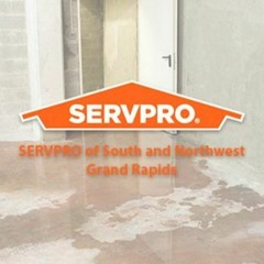 Effects Of Standing Water In And Around The House | ServPro Grand Rapids