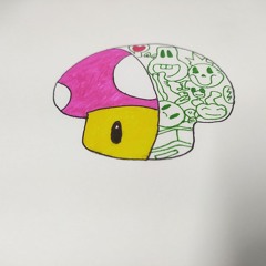 Rudraw Xd