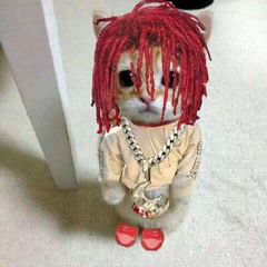 trippie yelloww
