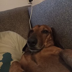 Tito