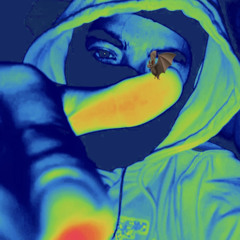 FR3DO
