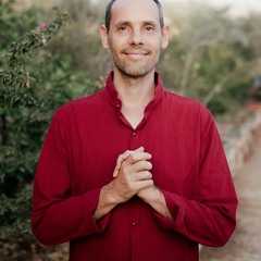 YOAV ILAN